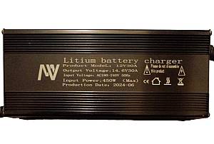 ΦΟΡΤΙΣΤΗΣ LiFePO4 12V 30A